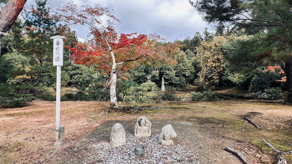 Kinkaku-ji | 去趣 chicTrip