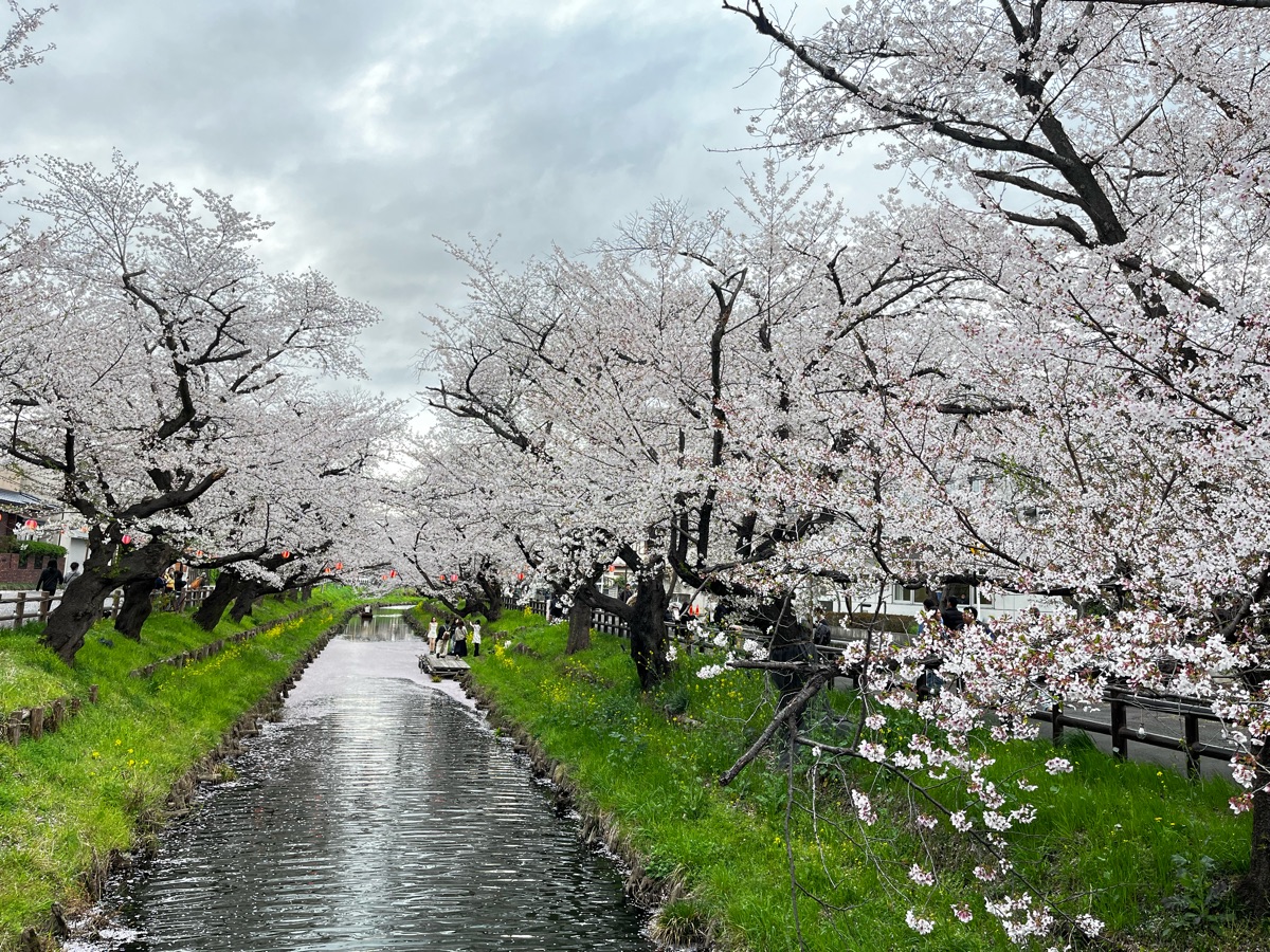 川越冰川神社 | 去趣 chicTrip
