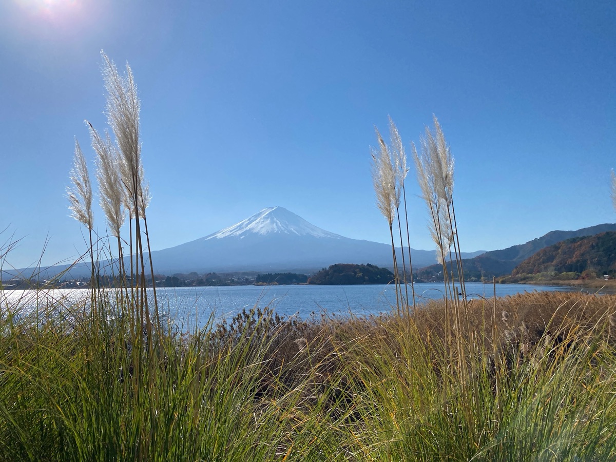 大石公園 | 去趣 chicTrip