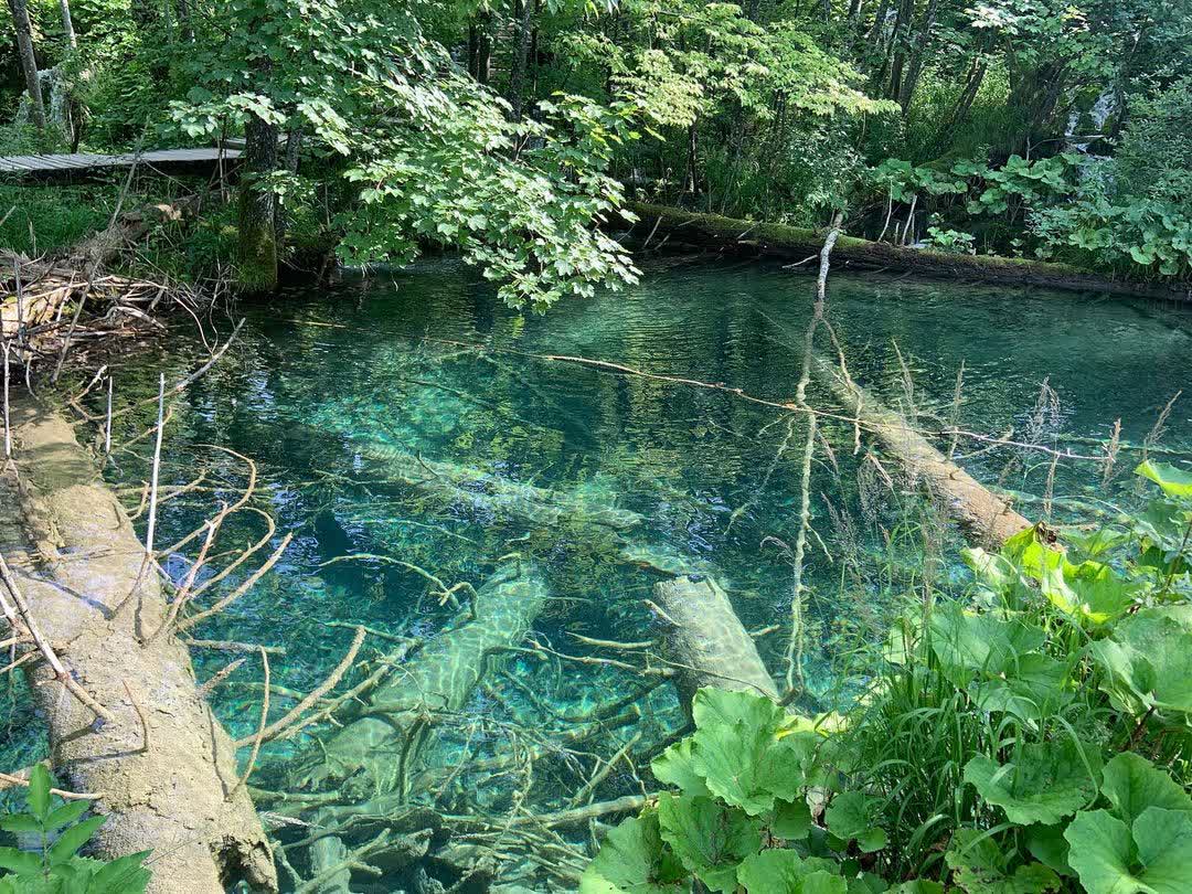 普利特維採湖群國家公園 | 去趣 chicTrip