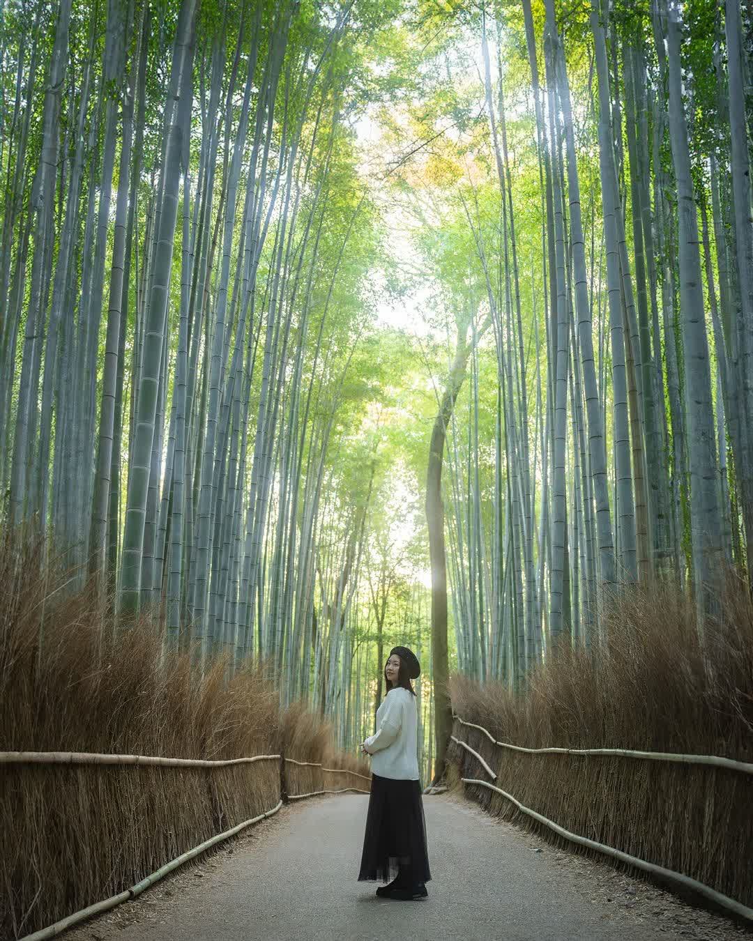 嵐山 | 去趣 chicTrip