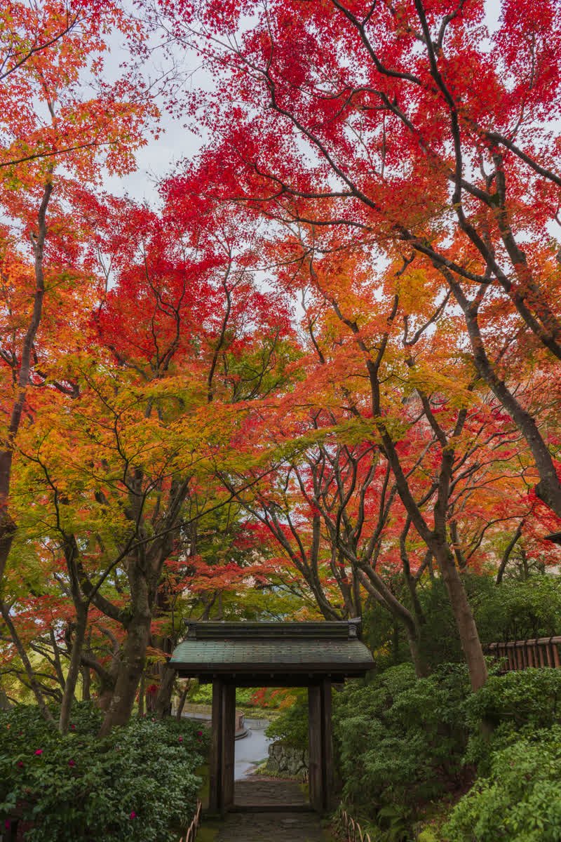 MOA美術館 | 去趣 chicTrip