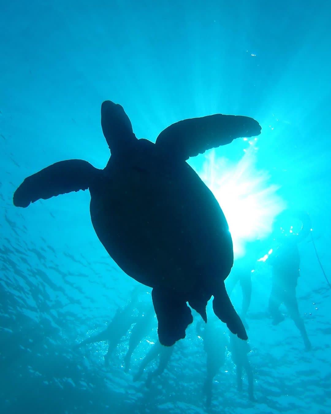 琉球嶼 | 去趣 chicTrip