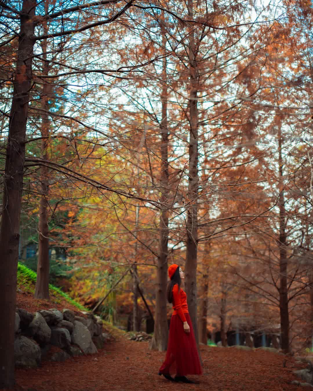 南庄雲水度假溫泉 (Cloudland Resort) | 去趣 chicTrip