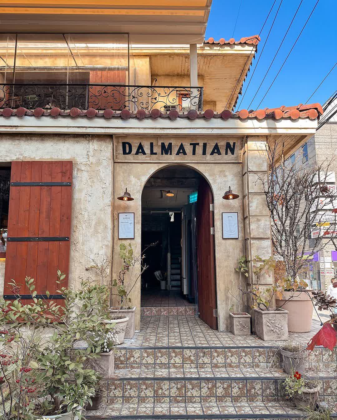 DALMATIAN | 去趣 chicTrip