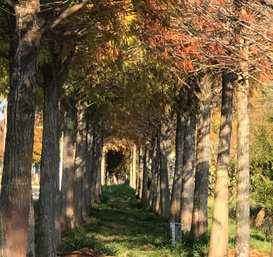 麗寶樂園 | 去趣 chicTrip