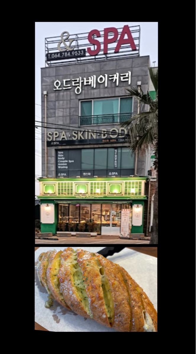 Audrant Bakery | 去趣 chicTrip