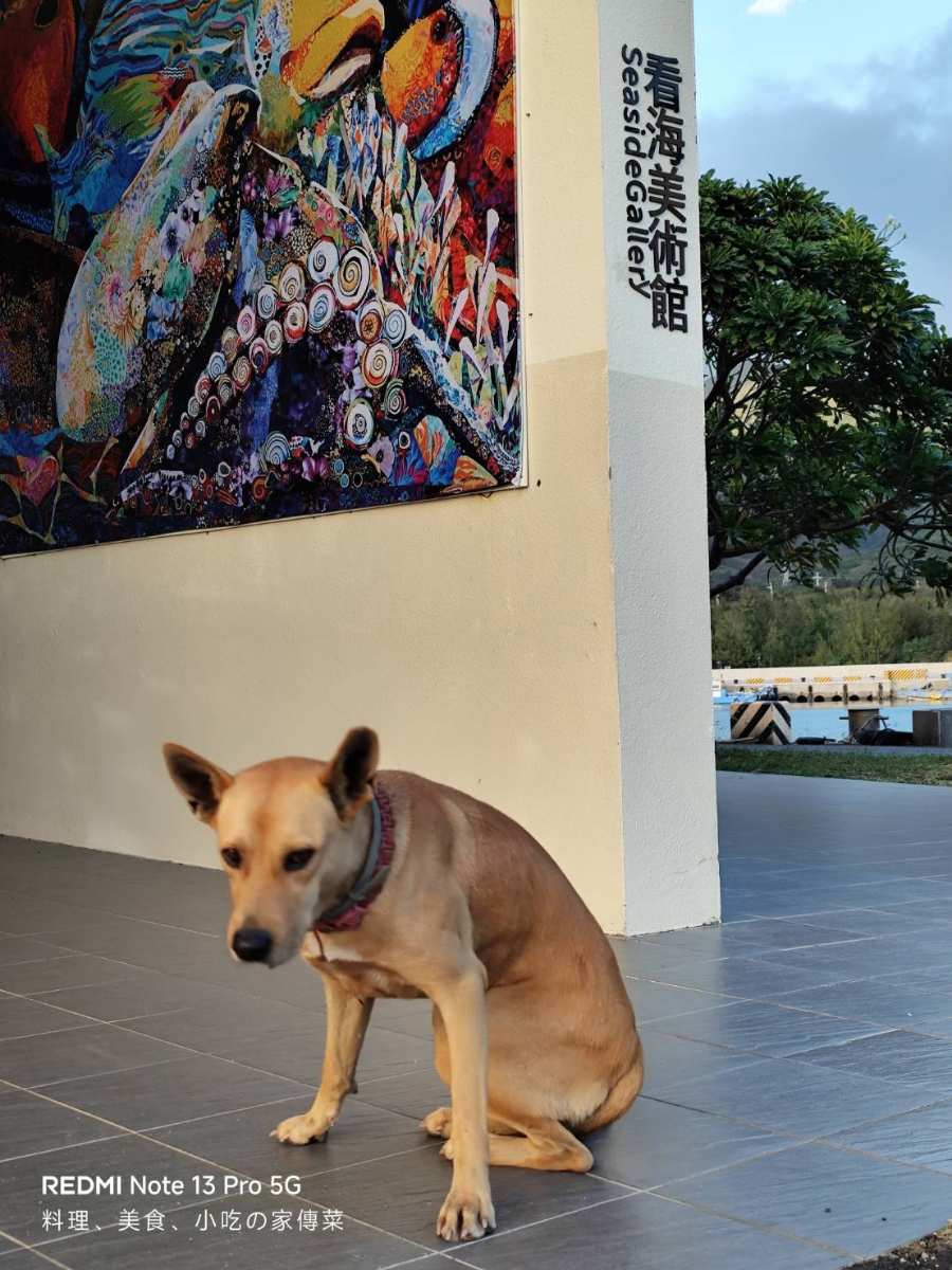 看海美術館 | 去趣 chicTrip