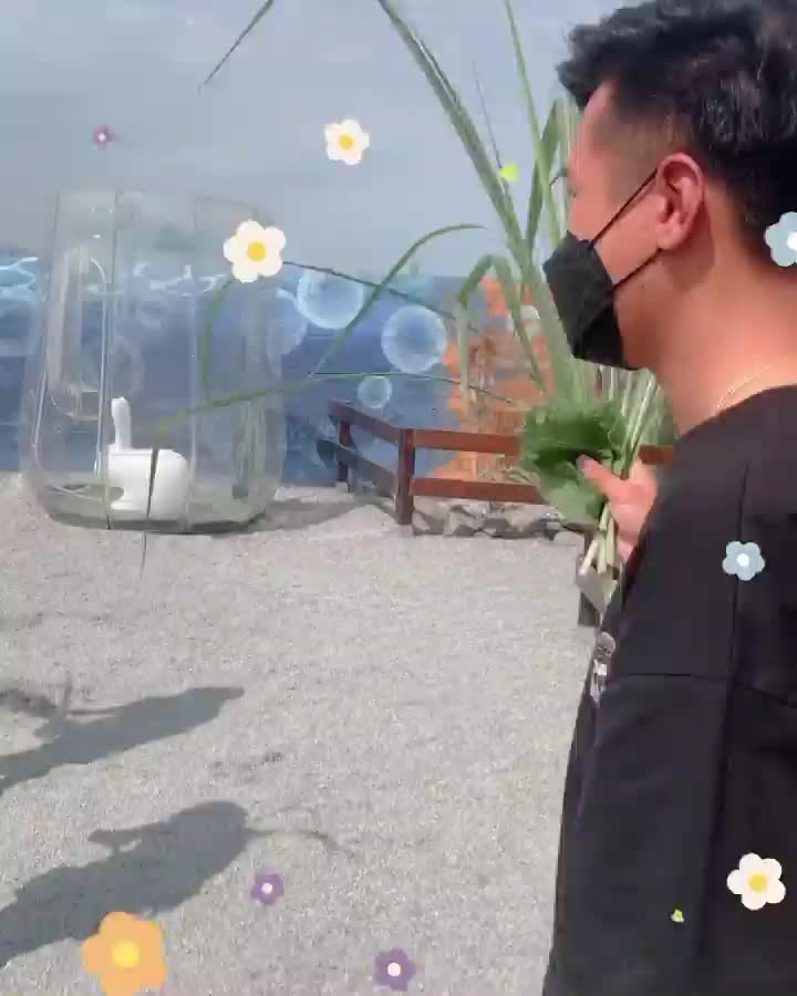 回巢農場 | 去趣 chicTrip