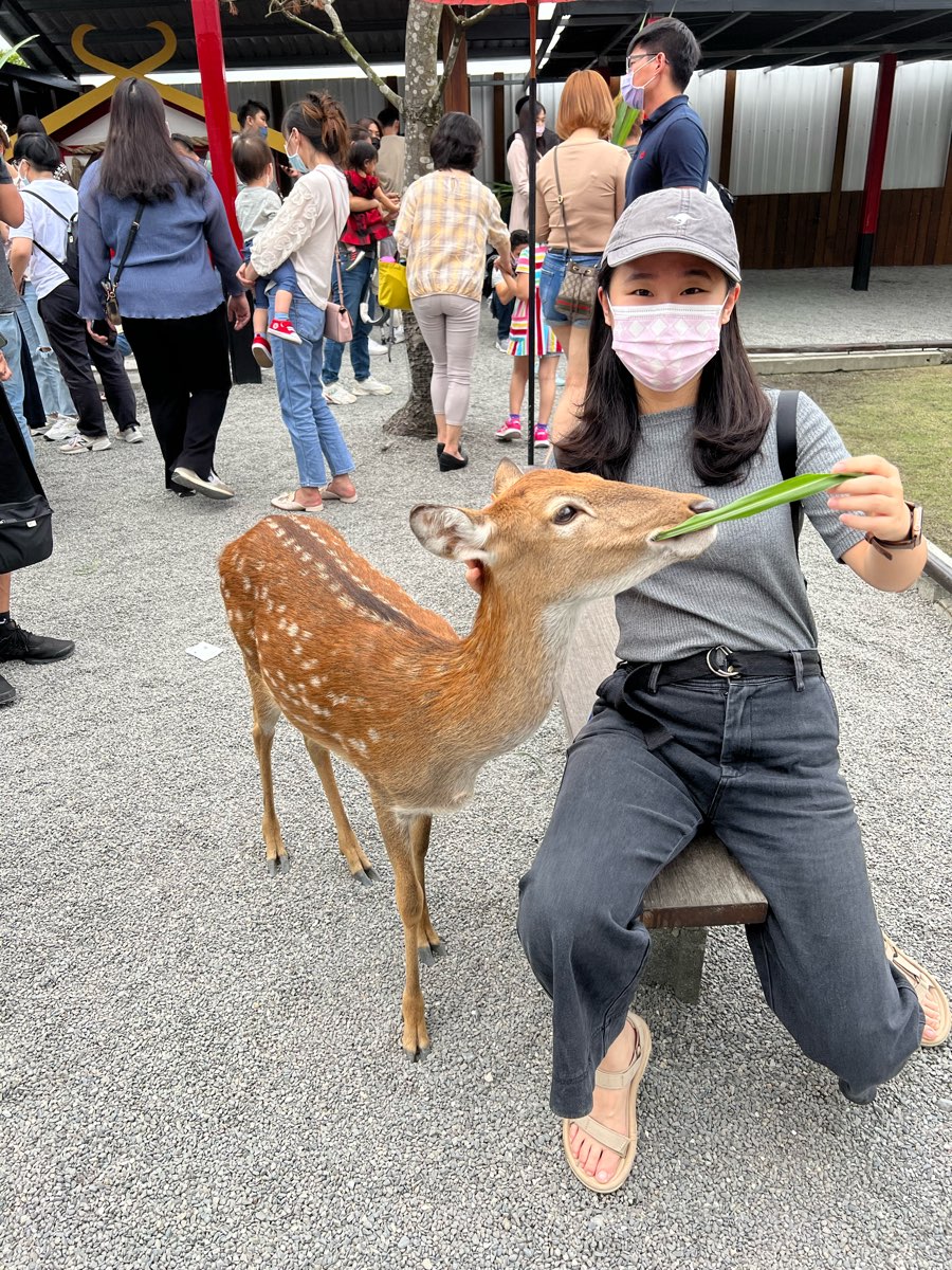 張美阿嬤農場（月森甯手作工坊） | 去趣 chicTrip