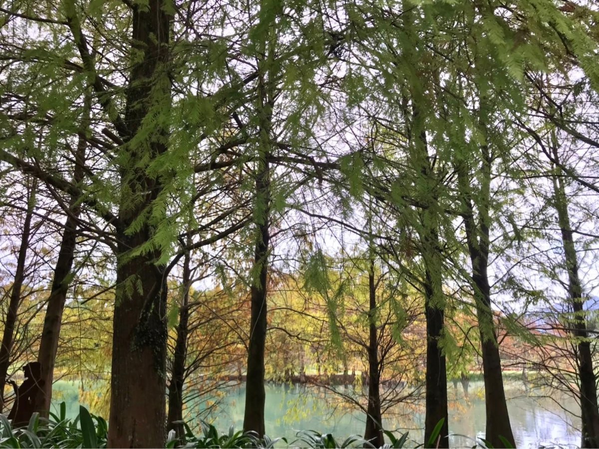 花蓮雲山水夢幻湖 | 去趣 chicTrip