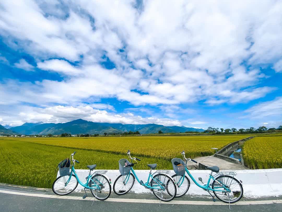 臺東池上錦新三號道路 伯朗大道 | 去趣 chicTrip