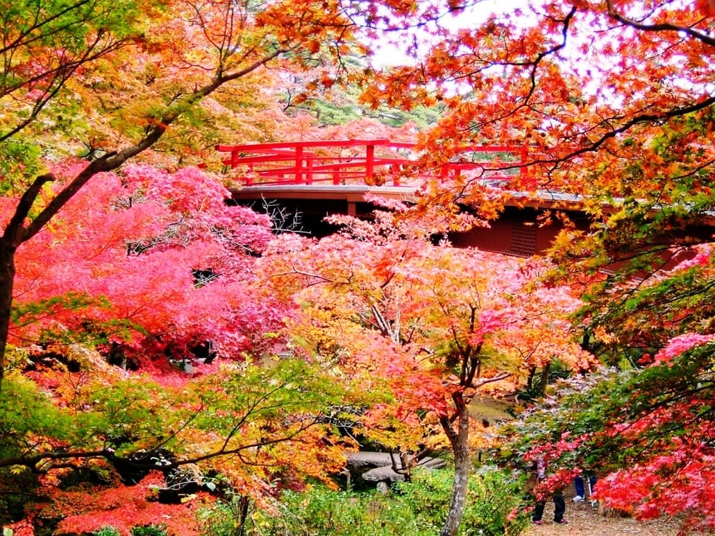 彌彥神社 | 去趣 chicTrip