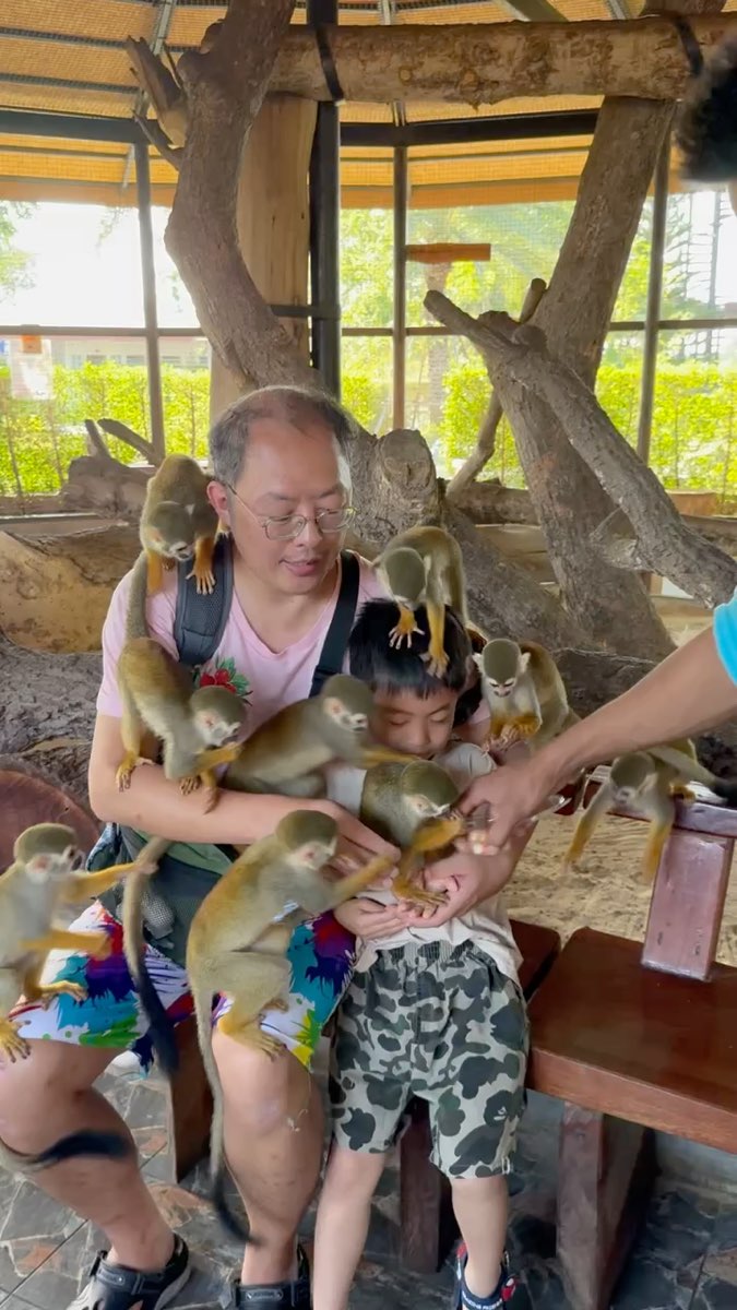 Sriayuthaya Lion Park | 去趣 chicTrip