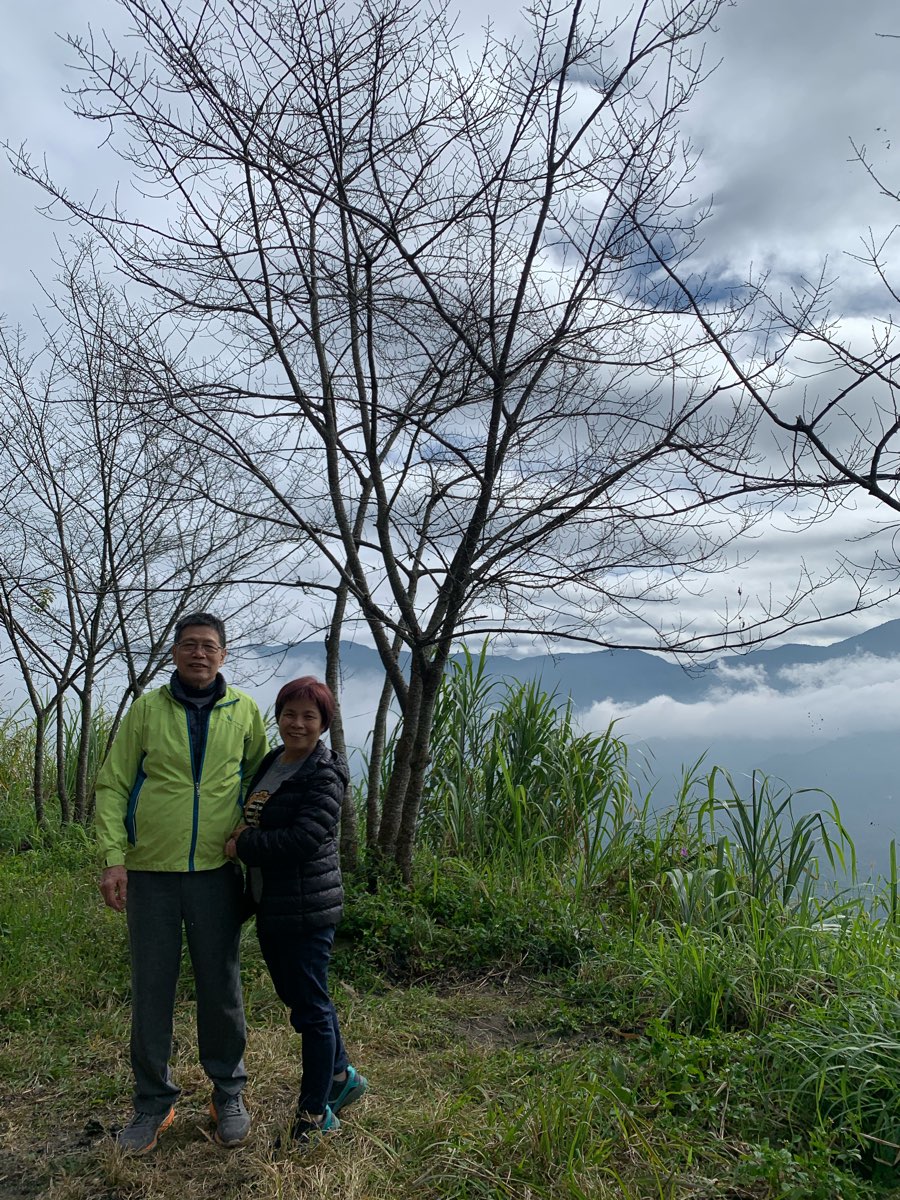 阿里山國家森林遊樂區 | 去趣 chicTrip