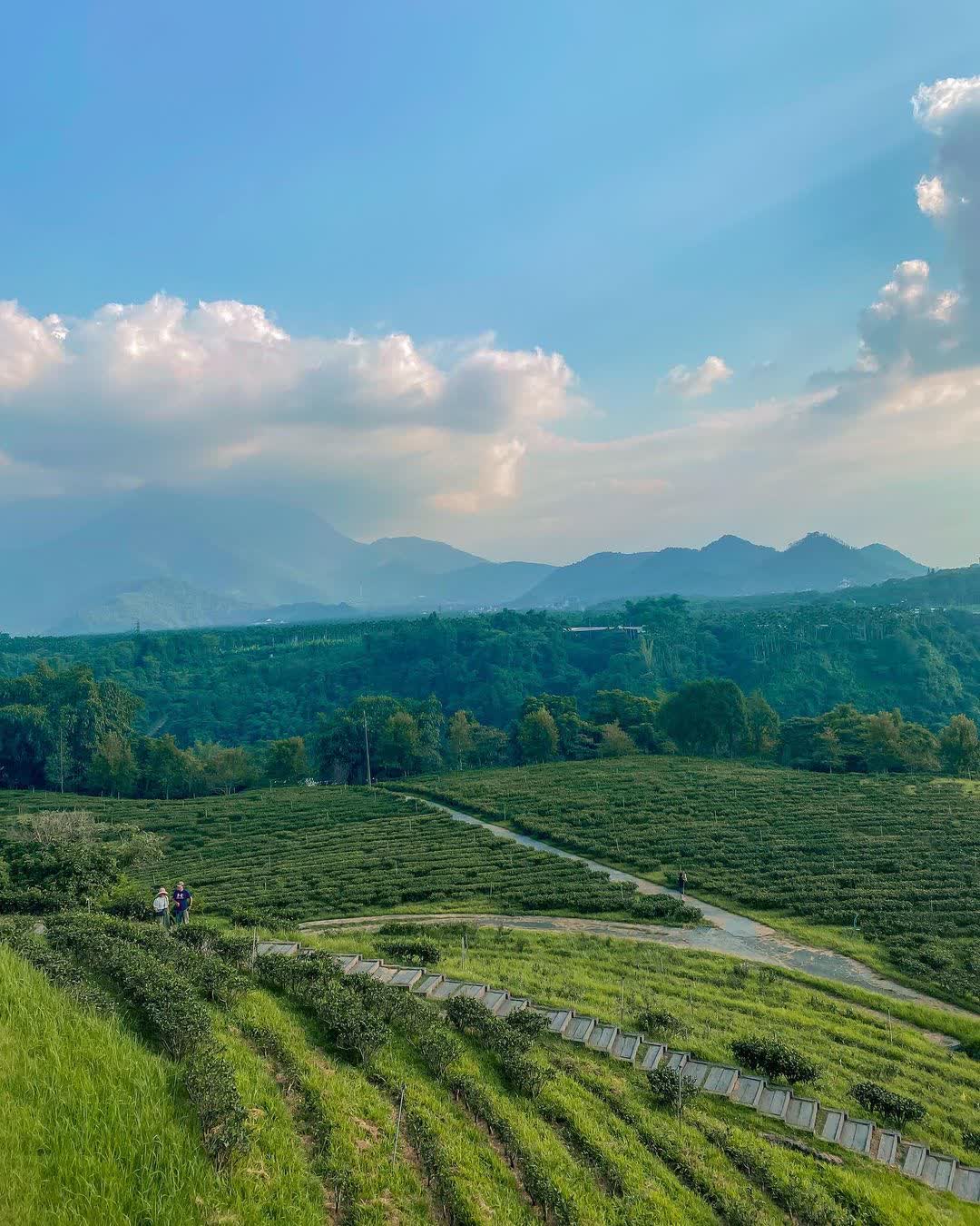 鹿篙咖啡莊園 | 去趣 chicTrip