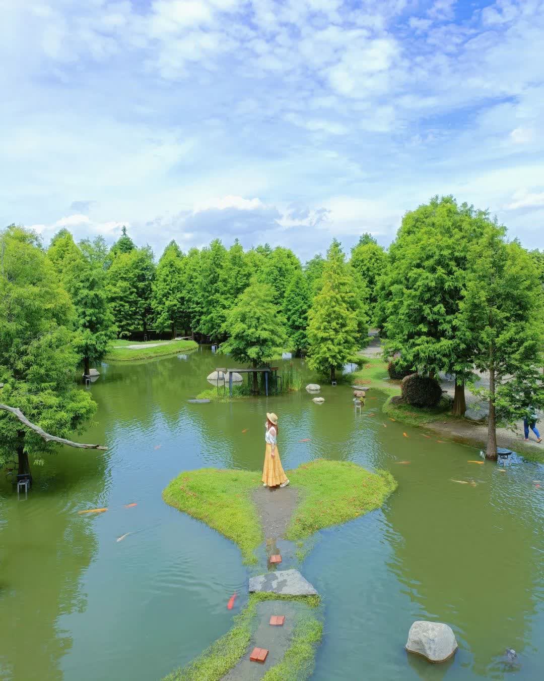 澄霖沉香味道森林館 | 去趣 chicTrip