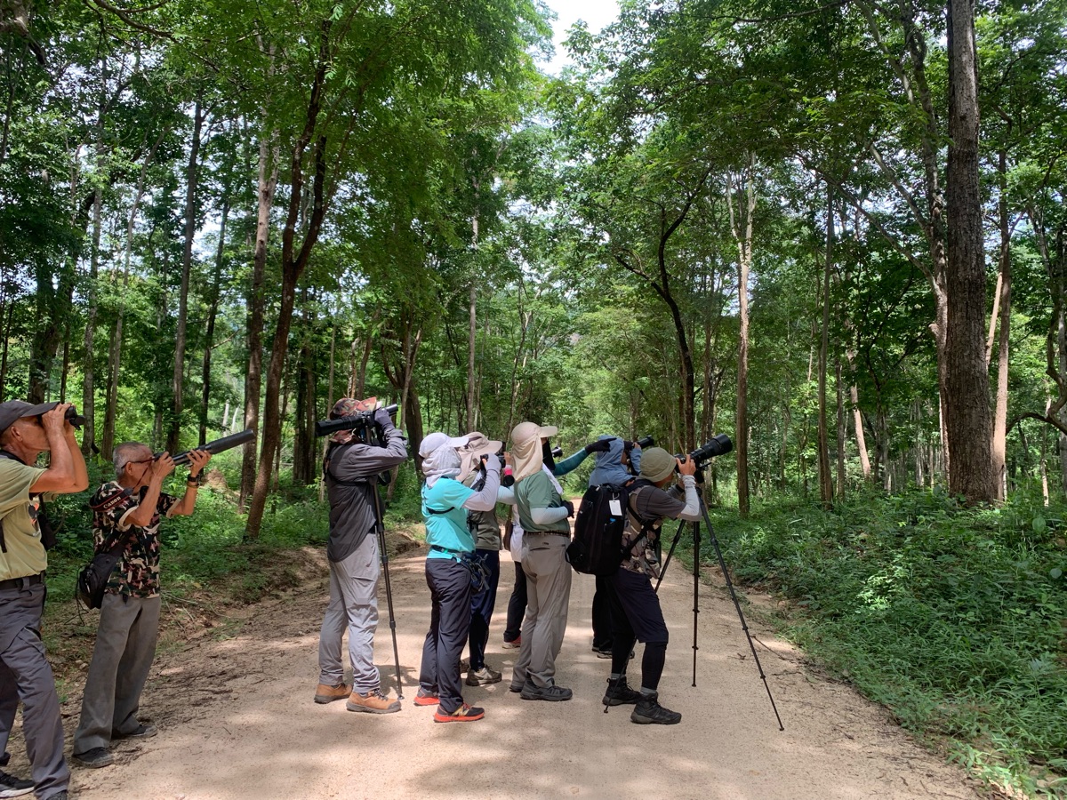 Huai Kha Khaeng Wildlife Sanctuary | 去趣 chicTrip