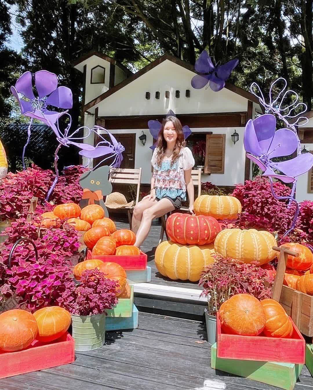 薰衣草森林台中新社店 | 去趣 chicTrip