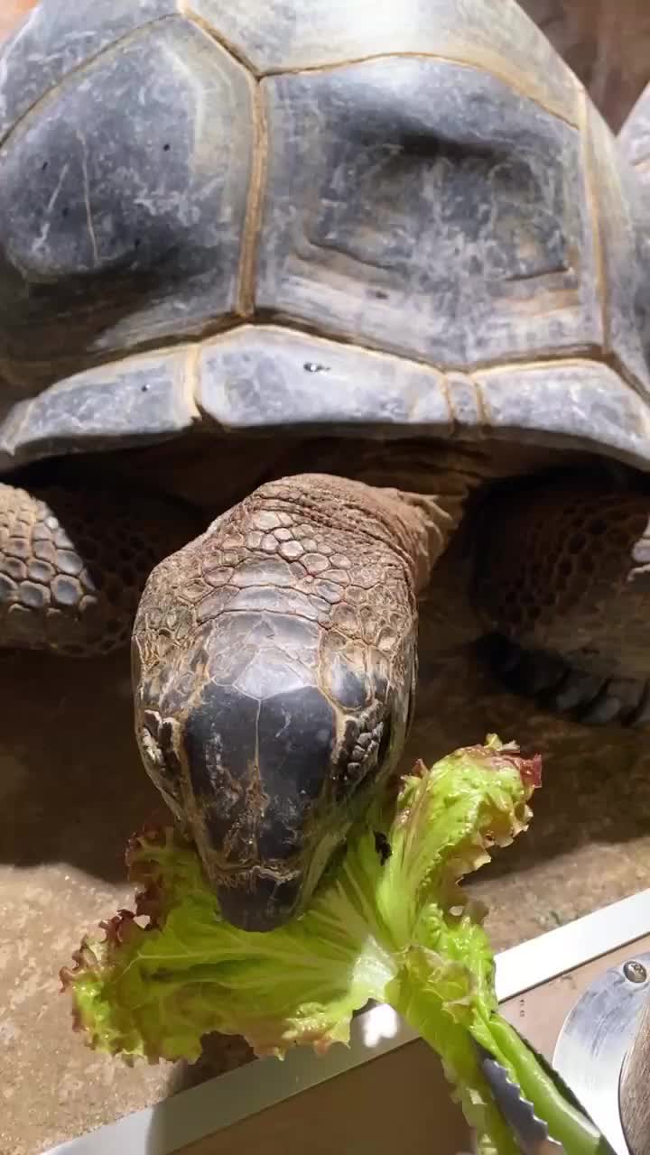 átoa 藝術水族館 | 去趣 chicTrip
