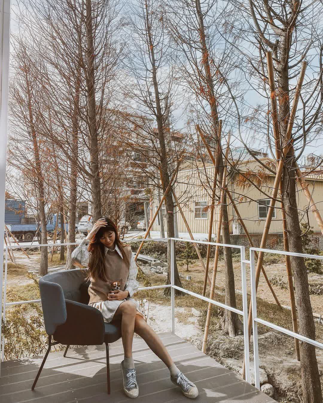 沐光樹手感蛋糕捲專賣店