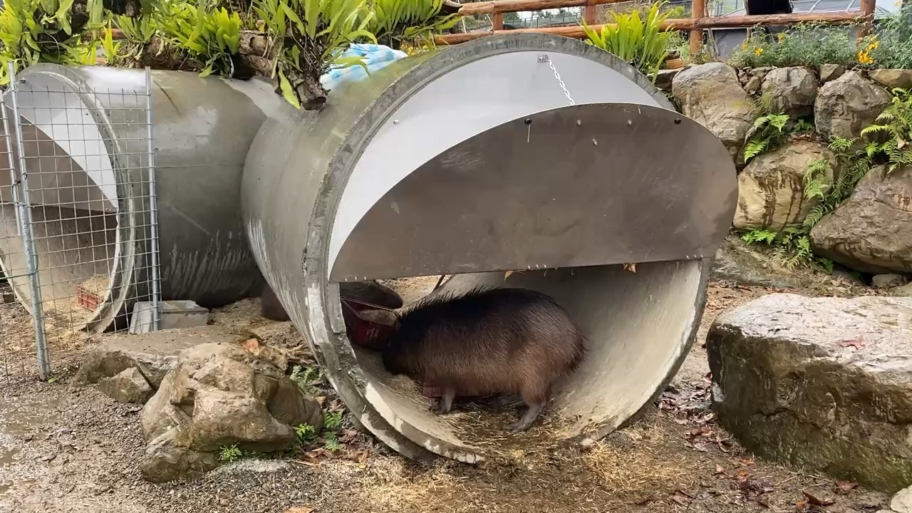 鹿芝谷生態景觀園區【試營運】 | 去趣 chicTrip