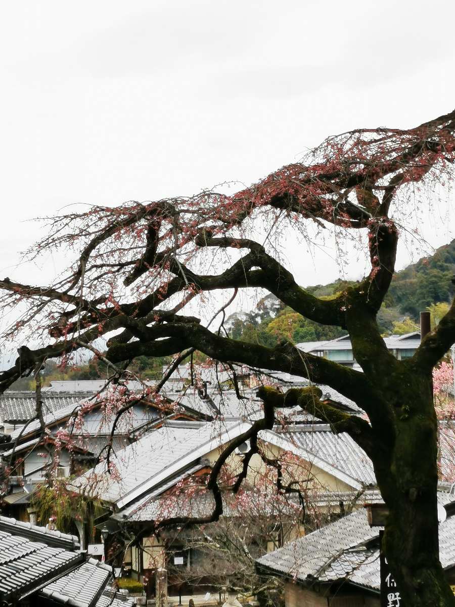 產寧坂 | 去趣 chicTrip