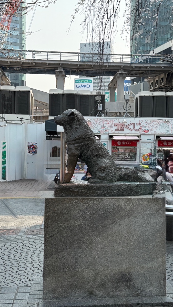 忠犬八公像 | 去趣 chicTrip