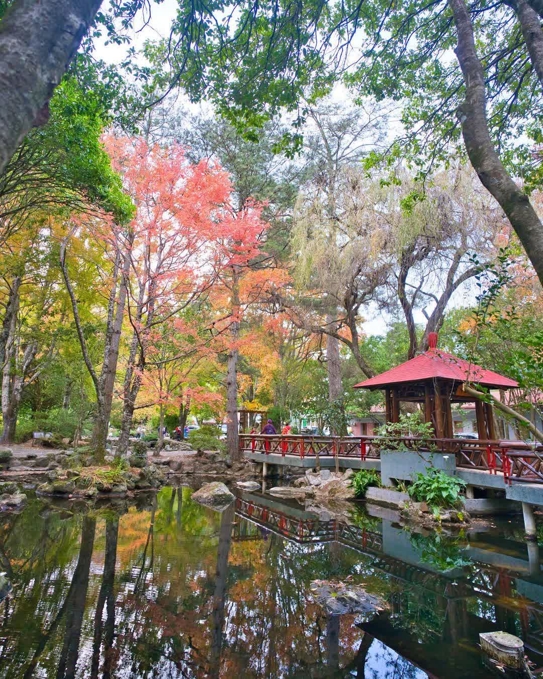 武陵農場 | 去趣 chicTrip