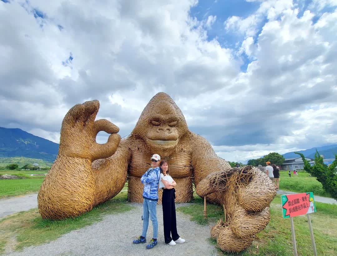 富里花海景觀區  (花蓮縣富里鄉農會旁) | 去趣 chicTrip