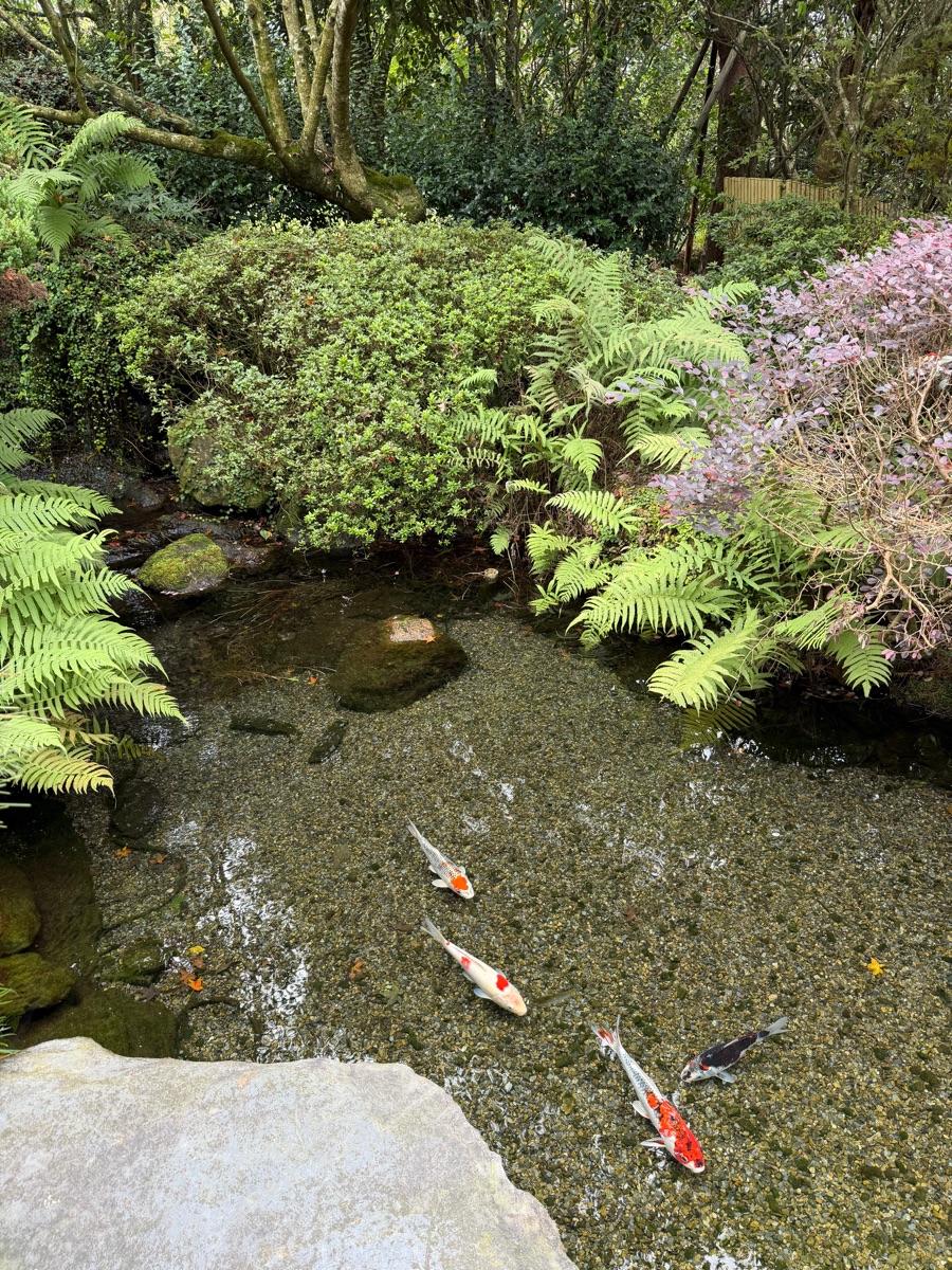 POUYUENJI HILLS 寶元紀之丘 | 去趣 chicTrip