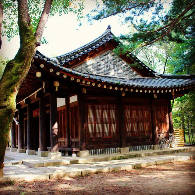 南怡島남이섬 | 去趣 chicTrip
