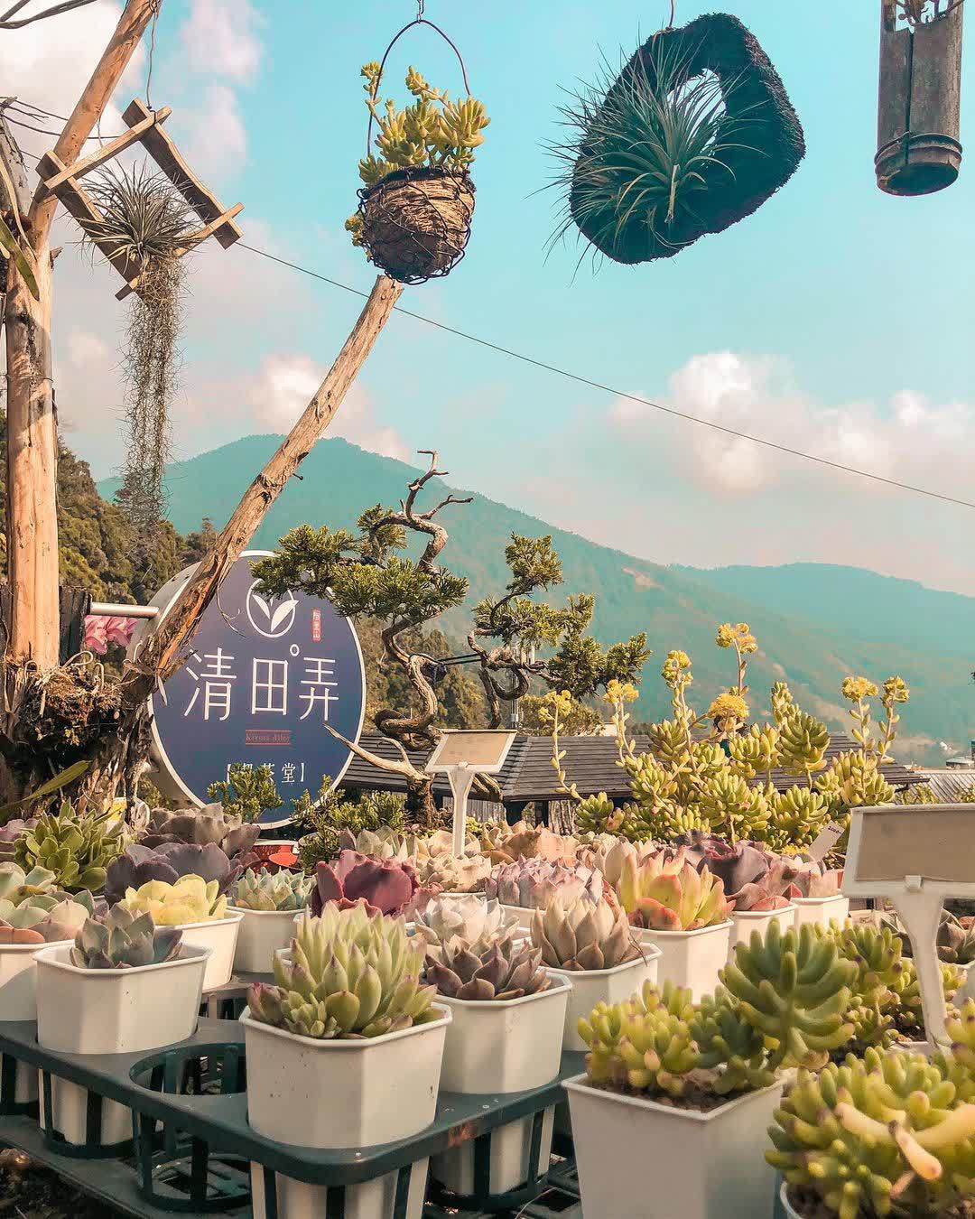 奮起湖老街 | 去趣 chicTrip