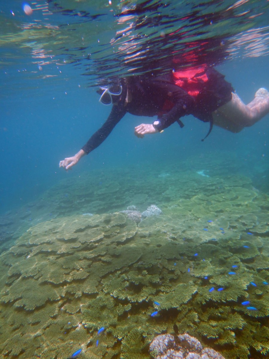 金瓜仔礁（忘憂島） | 去趣 chicTrip