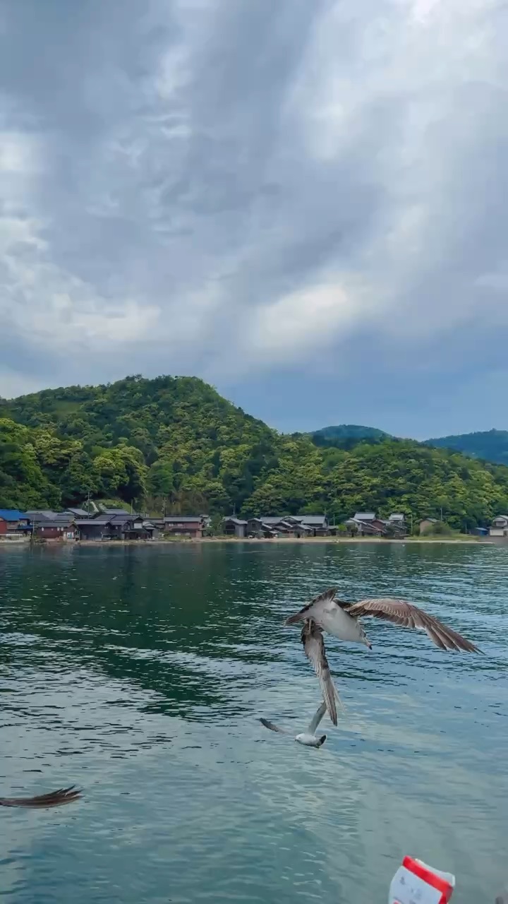伊根灣賞景觀光船 | 去趣 chicTrip