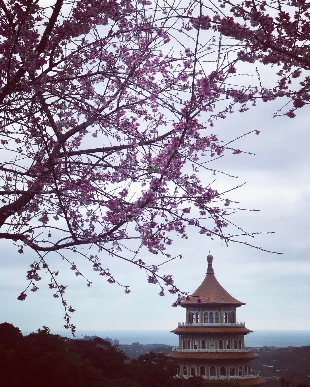 無極天元宮 | 去趣 chicTrip