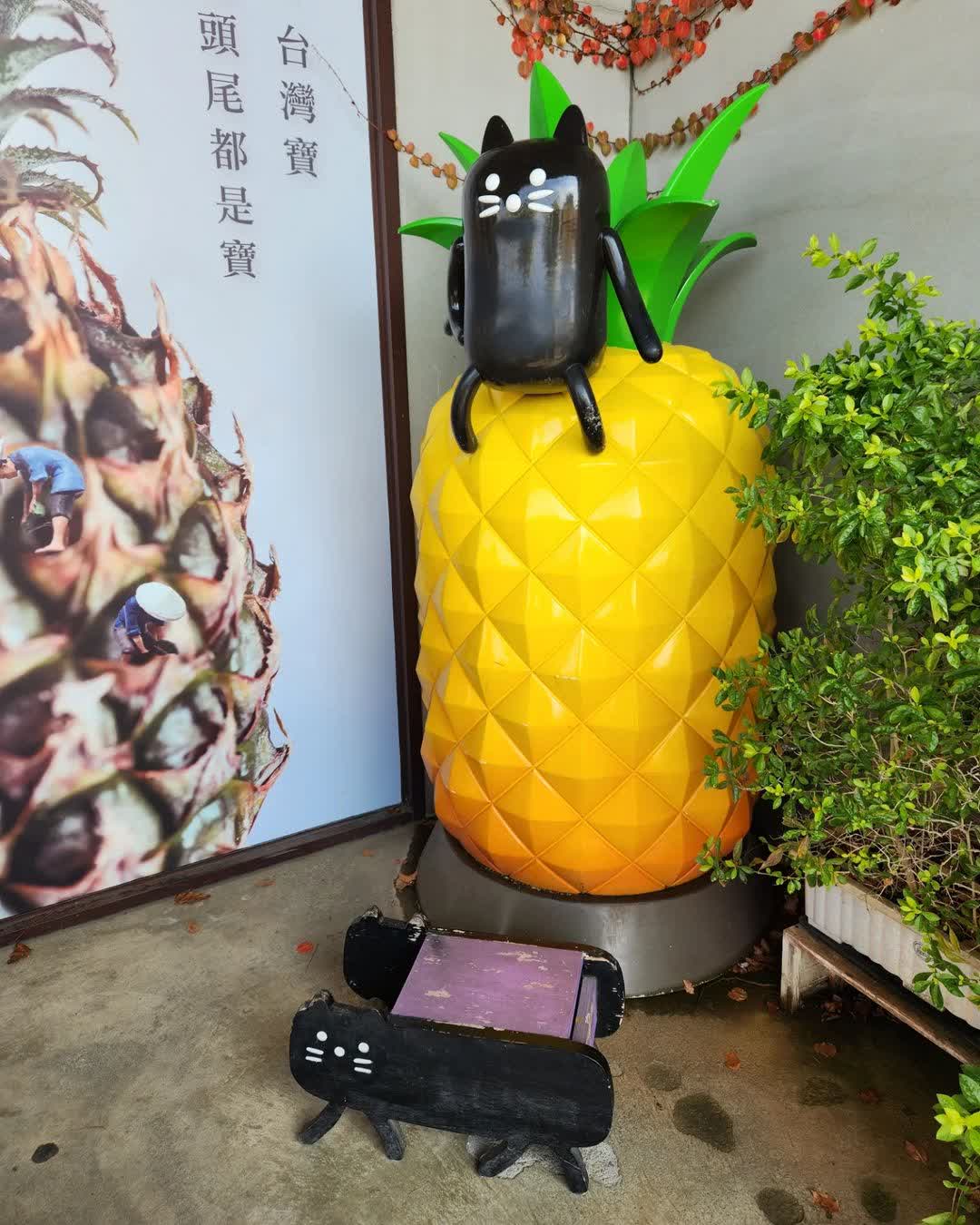 旺萊山-鳳梨文化園區 | 去趣 chicTrip