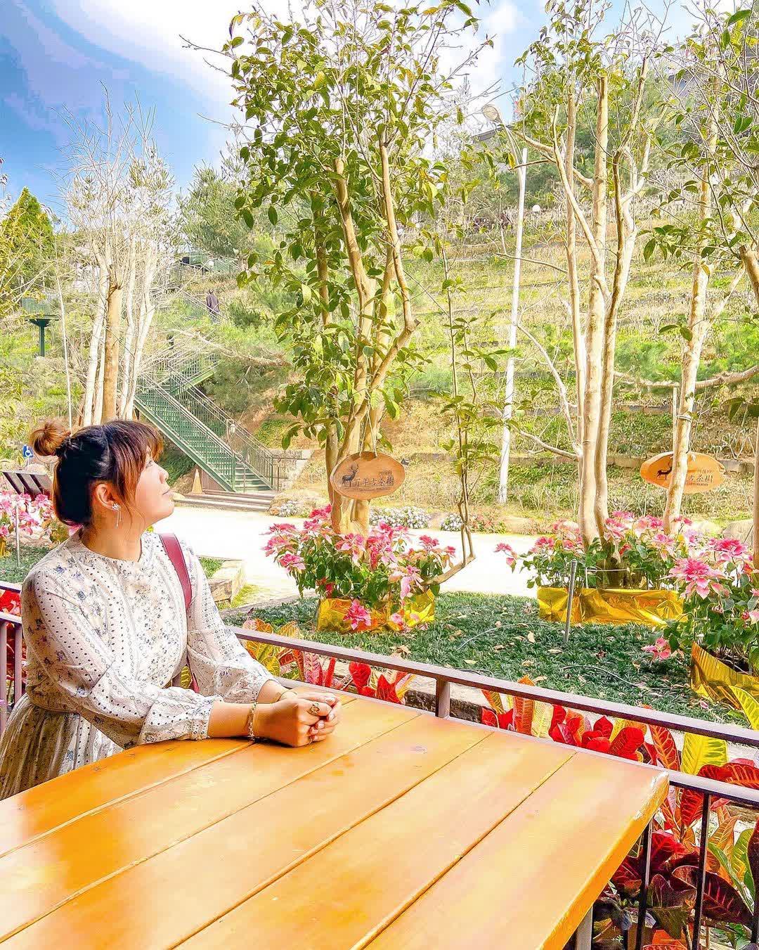 喝喝茶 | 去趣 chicTrip