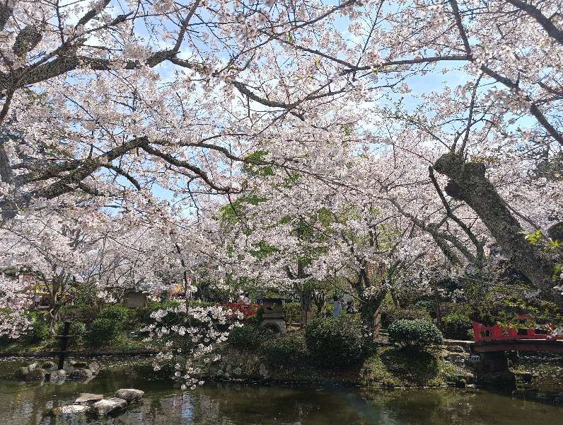 打吹公園 | 去趣 chicTrip