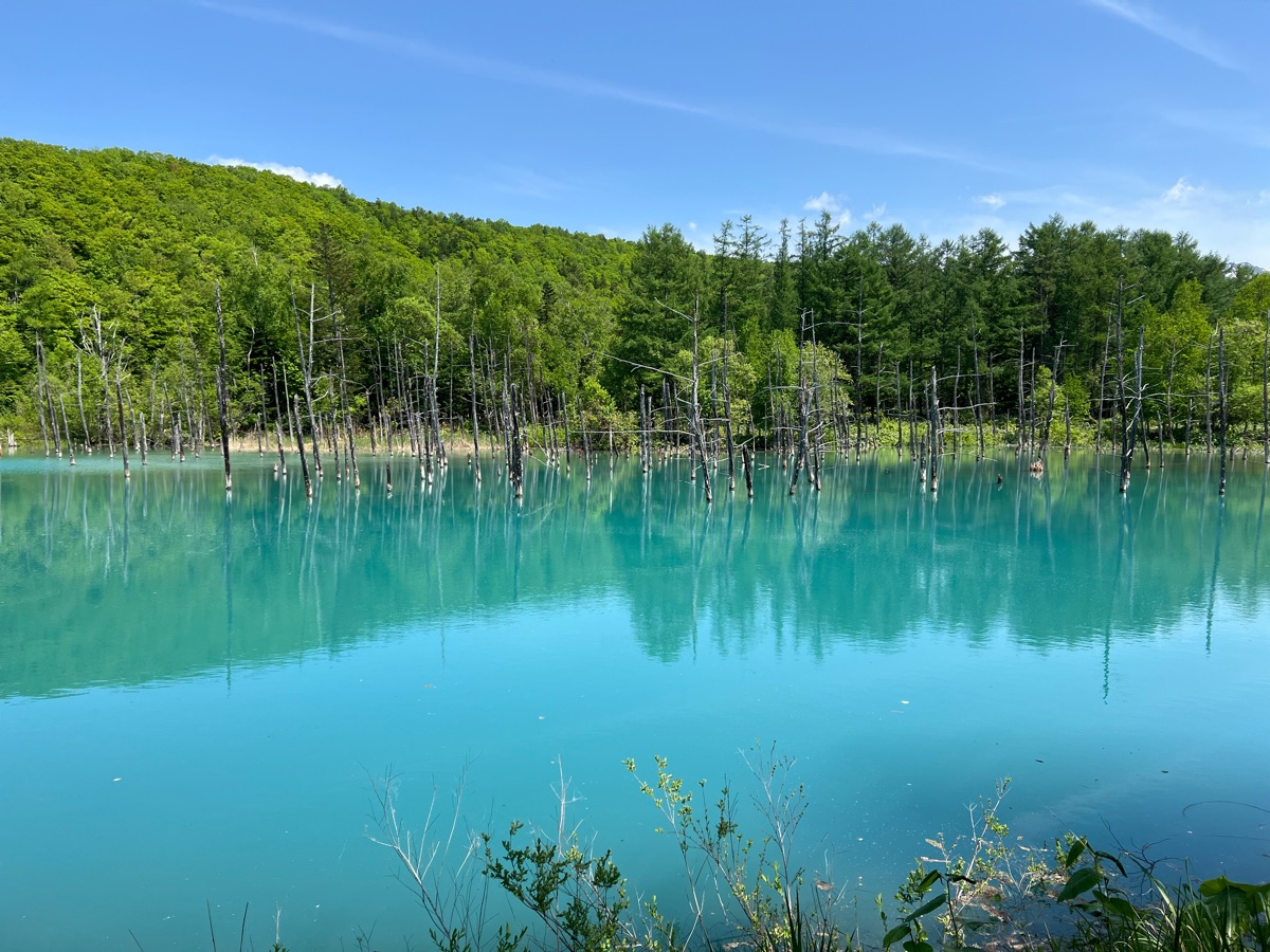 白金青池 | 去趣 chicTrip