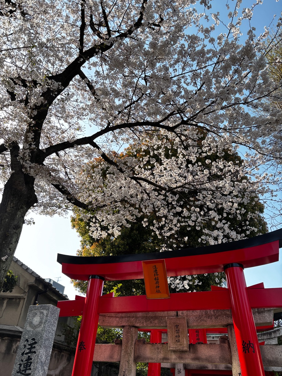 櫛田神社 | 去趣 chicTrip