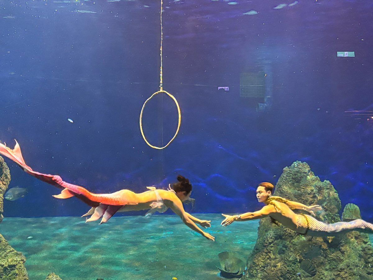 遠雄海洋公園 | 去趣 chicTrip