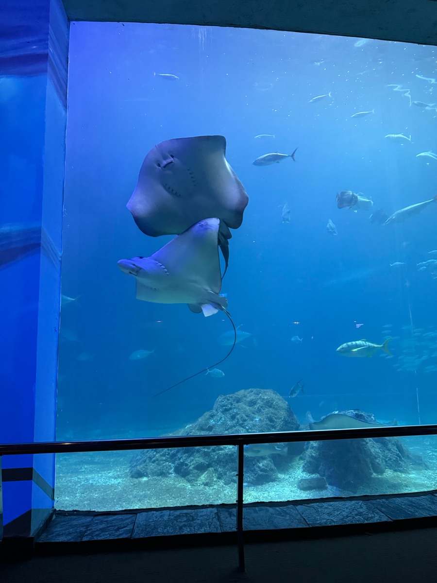 國立海洋生物博物館 | 去趣 chicTrip