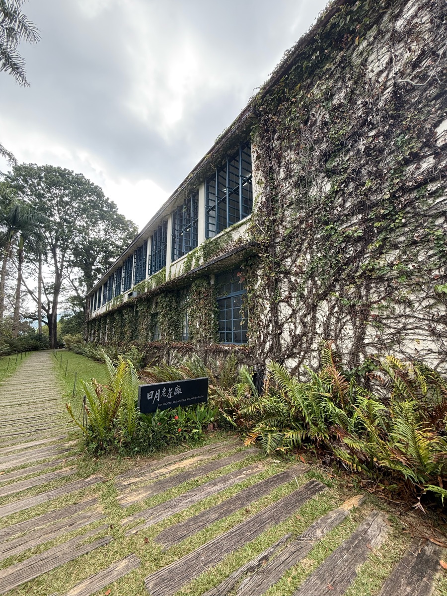 日月老茶廠 | 去趣 chicTrip