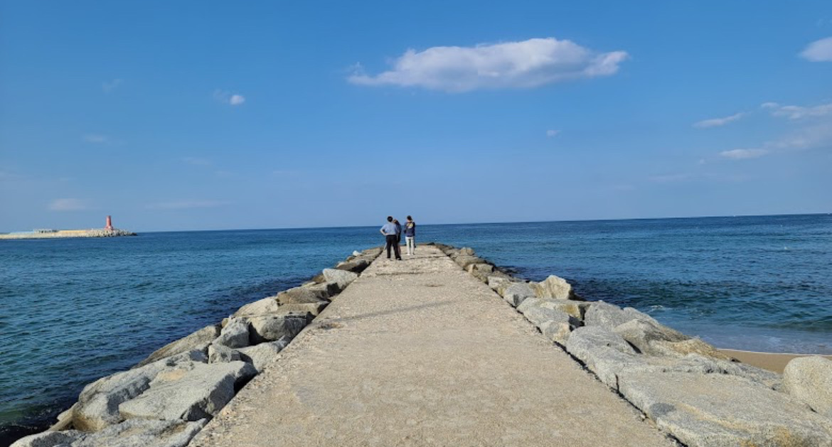 注文津海邊（주문진바다） | 去趣 chicTrip