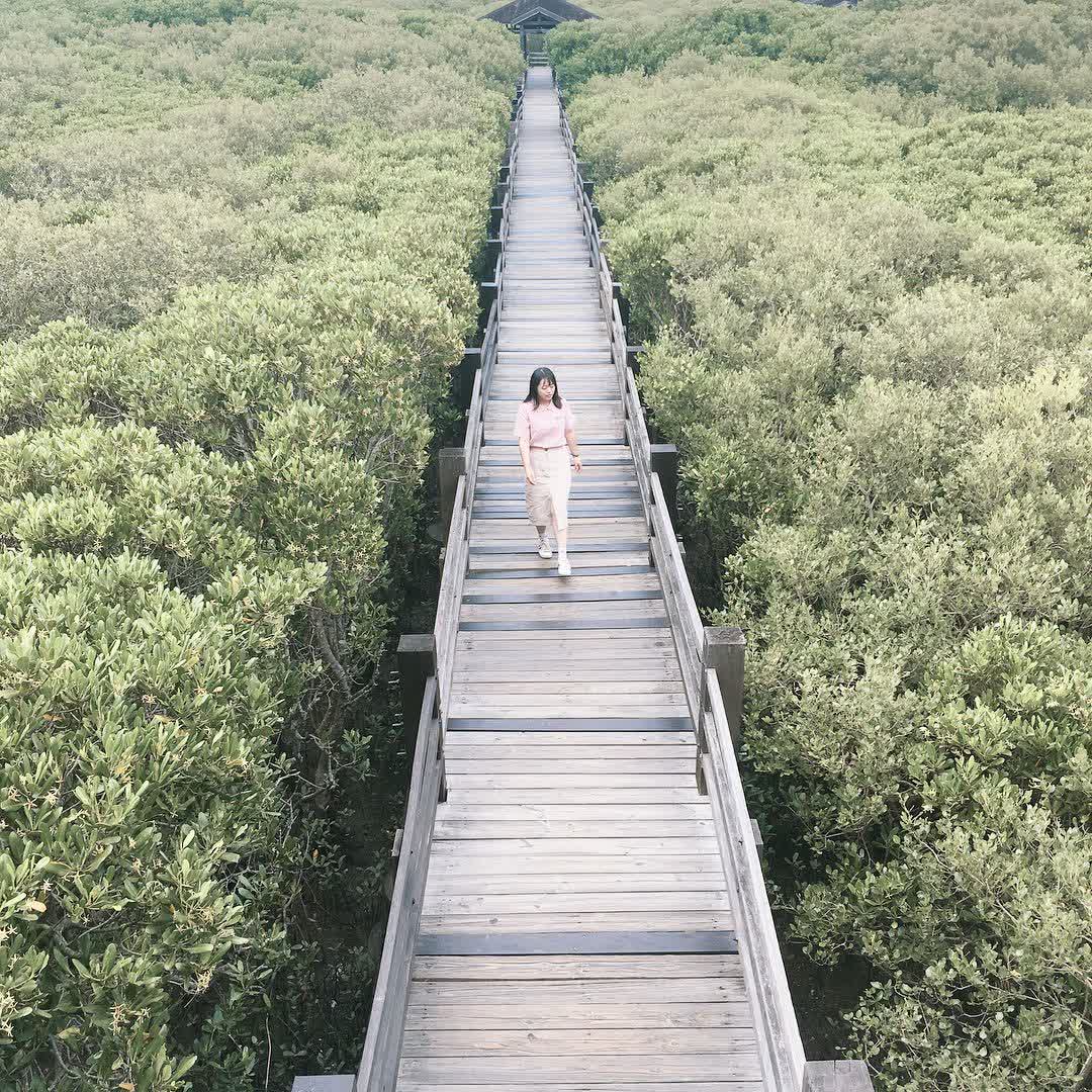 新豐紅樹林生態保護區 | 去趣 chicTrip