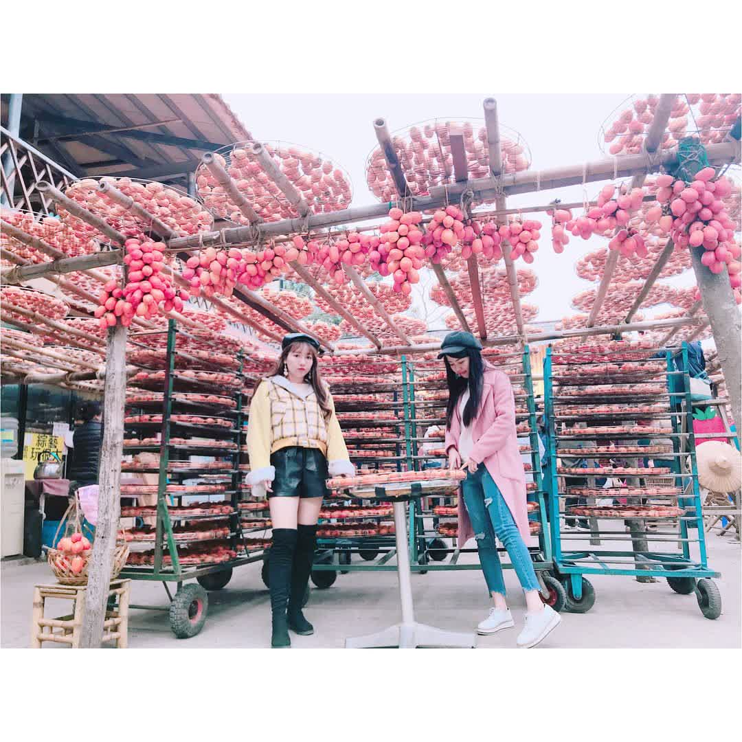 味衛佳柿餅教育農園 | 去趣 chicTrip
