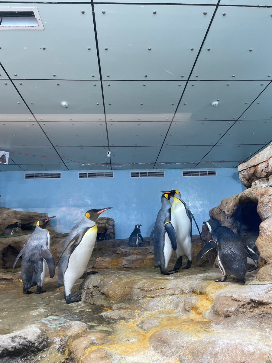 Xpark 水族館 | 去趣 chicTrip