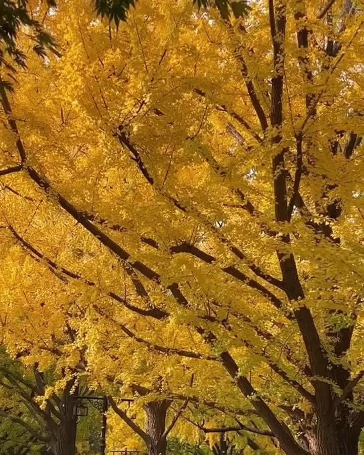 景福宮 | 去趣 chicTrip