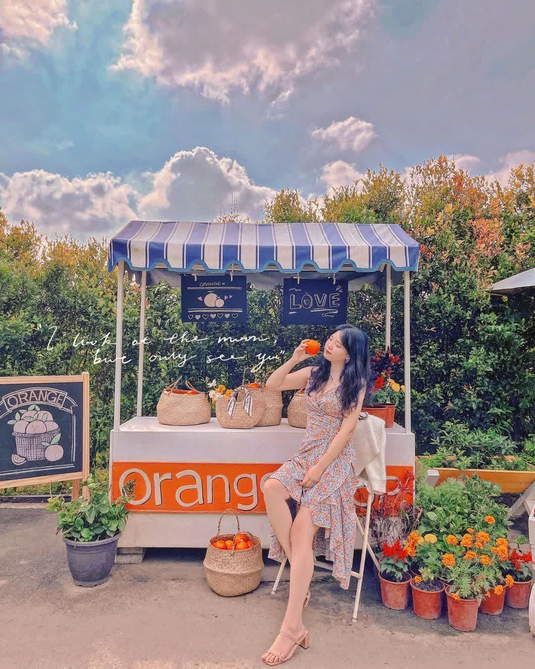 橙香森林 | 去趣 chicTrip